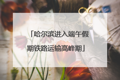 哈尔滨进入端午假期铁路运输高峰期