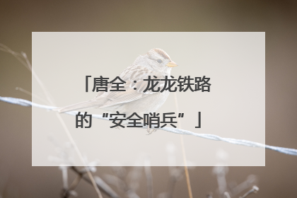唐全：龙龙铁路的“安全哨兵”