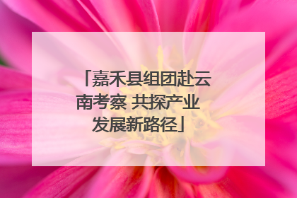 嘉禾县组团赴云南考察 共探产业发展新路径
