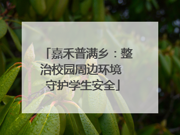 嘉禾普满乡：整治校园周边环境 守护学生安全