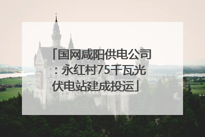国网咸阳供电公司：永红村75千瓦光伏电站建成投运