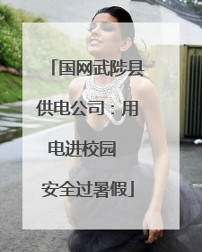 国网武陟县供电公司：用电进校园  安全过暑假