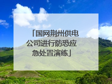国网荆州供电公司进行防恐应急处置演练