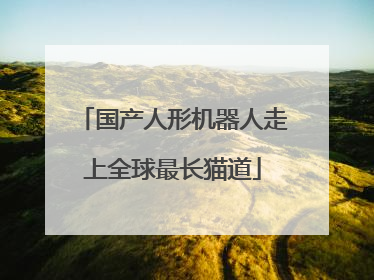 国产人形机器人走上全球最长猫道