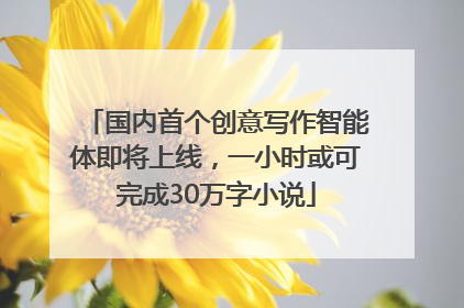 国内首个创意写作智能体即将上线，一小时或可完成30万字小说