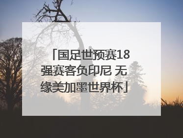 国足世预赛18强赛客负印尼 无缘美加墨世界杯