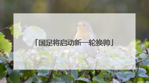 国足将启动新一轮换帅