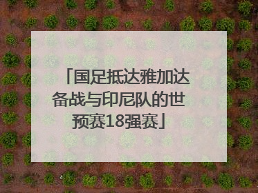 国足抵达雅加达备战与印尼队的世预赛18强赛