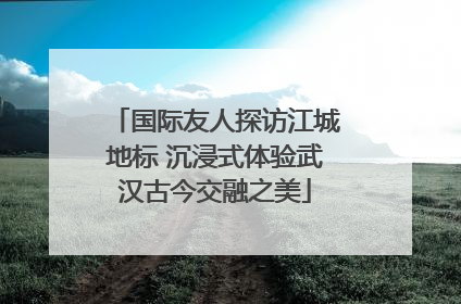 国际友人探访江城地标 沉浸式体验武汉古今交融之美