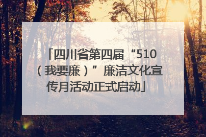 四川省第四届“510（我要廉）”廉洁文化宣传月活动正式启动