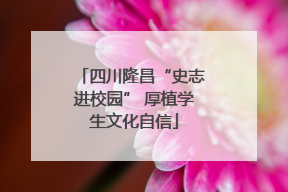 四川隆昌“史志进校园” 厚植学生文化自信