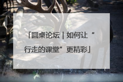 圆桌论坛｜如何让“行走的课堂”更精彩