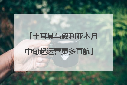 土耳其与叙利亚本月中旬起运营更多直航
