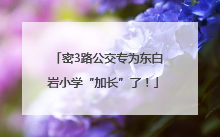 密3路公交专为东白岩小学“加长”了!