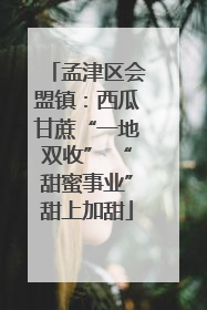 孟津区会盟镇：西瓜甘蔗“一地双收” “甜蜜事业”甜上加甜