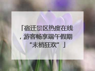 宿迁景区热度在线，游客畅享端午假期“末梢狂欢”