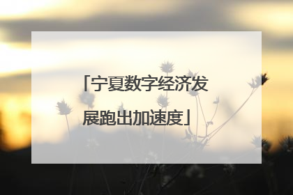 宁夏数字经济发展跑出加速度