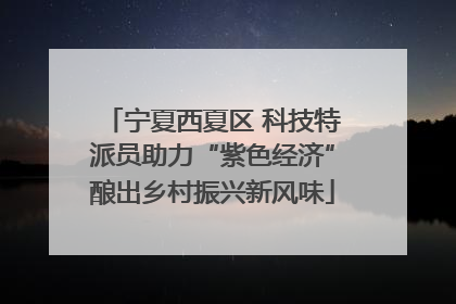 宁夏西夏区 科技特派员助力“紫色经济”酿出乡村振兴新风味