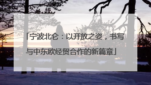 宁波北仑：以开放之姿，书写与中东欧经贸合作的新篇章