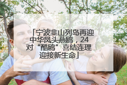 宁波韭山列岛再迎中华凤头燕鸥，24对“酷鸥”喜结连理迎接新生命