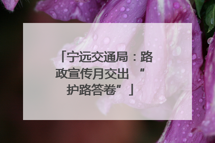 宁远交通局：路政宣传月交出 “护路答卷”