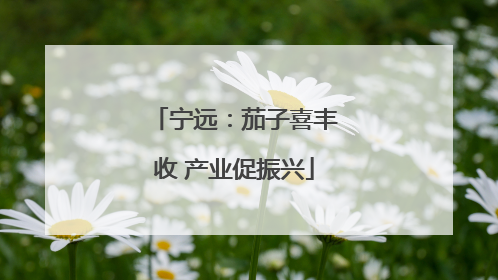 宁远：茄子喜丰收 产业促振兴