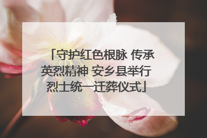 守护红色根脉 传承英烈精神 安乡县举行烈士统一迁葬仪式
