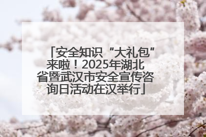 安全知识“大礼包”来啦！2025年湖北省暨武汉市安全宣传咨询日活动在汉举行