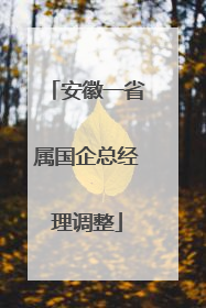 安徽一省属国企总经理调整