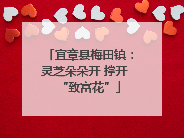 宜章县梅田镇：灵芝朵朵开 撑开“致富花”