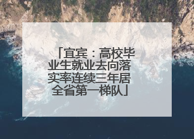 宜宾：高校毕业生就业去向落实率连续三年居全省第一梯队
