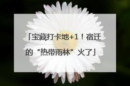 宝藏打卡地+1！宿迁的“热带雨林”火了