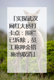 实探武汉网红大桥打卡点：围栏已拆除，员工称押金措施也取消