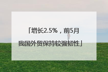 增长2.5%，前5月我国外贸保持较强韧性