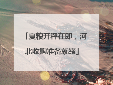 夏粮开秤在即，河北收购准备就绪
