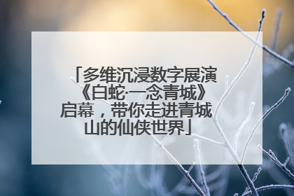 多维沉浸数字展演《白蛇·一念青城》启幕，带你走进青城山的仙侠世界