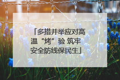 多措并举应对高温“烤”验 筑牢安全防线保民生