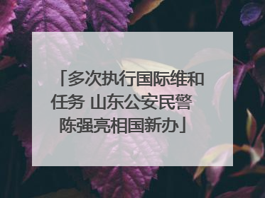 多次执行国际维和任务 山东公安民警陈强亮相国新办