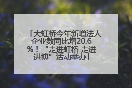 大虹桥今年新增法人企业数同比增20.6%！“走进虹桥 走进进博”活动举办