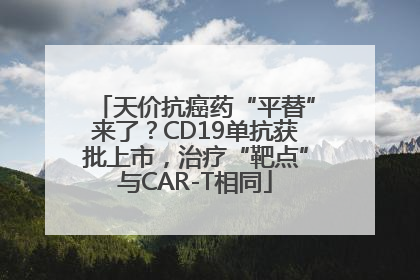 天价抗癌药“平替”来了？CD19单抗获批上市，治疗“靶点”与CAR-T相同