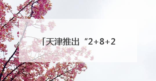 天津推出“2+8+22+N”四级消费商圈