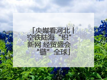 央媒看河北丨空铁陆海“织”新网 经贸盛会“链”全球
