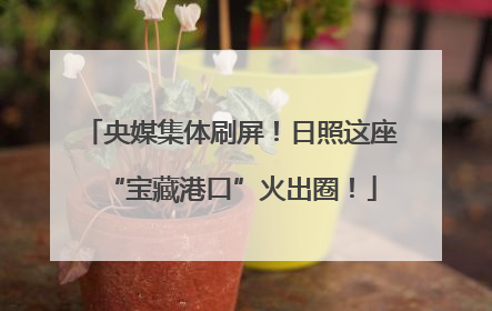 央媒集体刷屏！日照这座“宝藏港口”火出圈！
