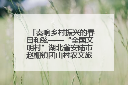奏响乡村振兴的春日和弦——“全国文明村”湖北省安陆市赵棚镇团山村农文旅融合发展见闻