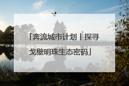 奔流城市计划丨探寻戈壁明珠生态密码