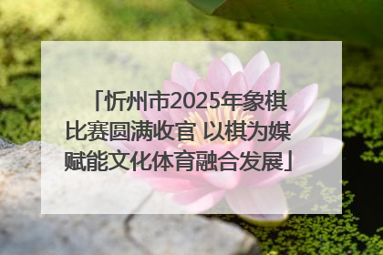 忻州市2025年象棋比赛圆满收官 以棋为媒赋能文化体育融合发展