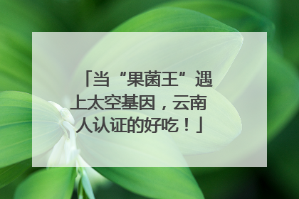 当“果菌王”遇上太空基因，云南人认证的好吃！