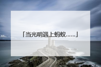 当光明遇上蚂蚁……