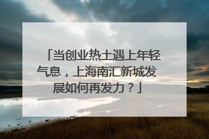 当创业热土遇上年轻气息，上海南汇新城发展如何再发力？