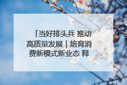 当好排头兵 推动高质量发展｜培育消费新模式新业态 释放经济增长新动能